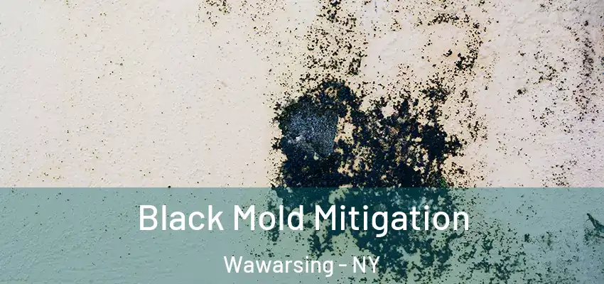 Black Mold Mitigation Wawarsing - NY