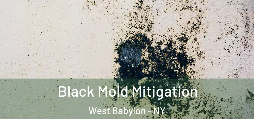 Black Mold Mitigation West Babylon - NY