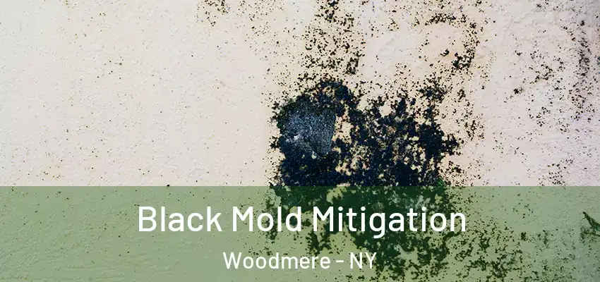 Black Mold Mitigation Woodmere - NY