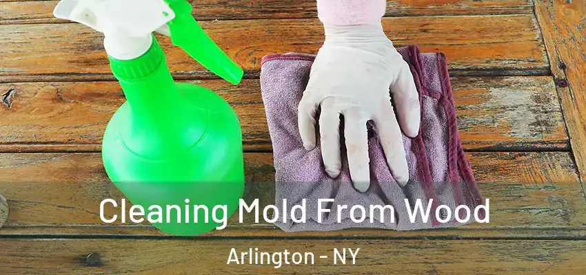  Cleaning Mold From Wood Arlington - NY