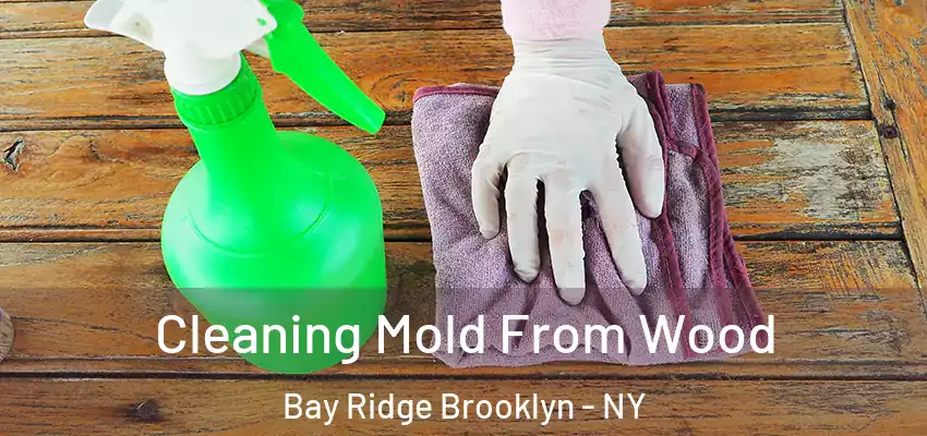 Cleaning Mold From Wood Bay Ridge Brooklyn - NY