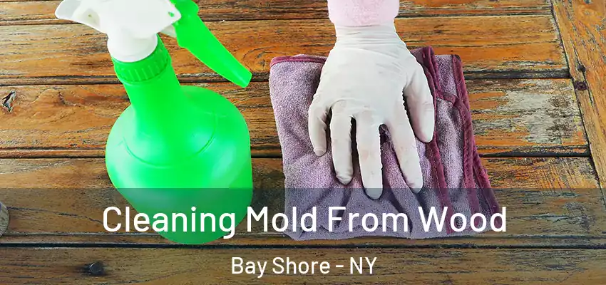  Cleaning Mold From Wood Bay Shore - NY