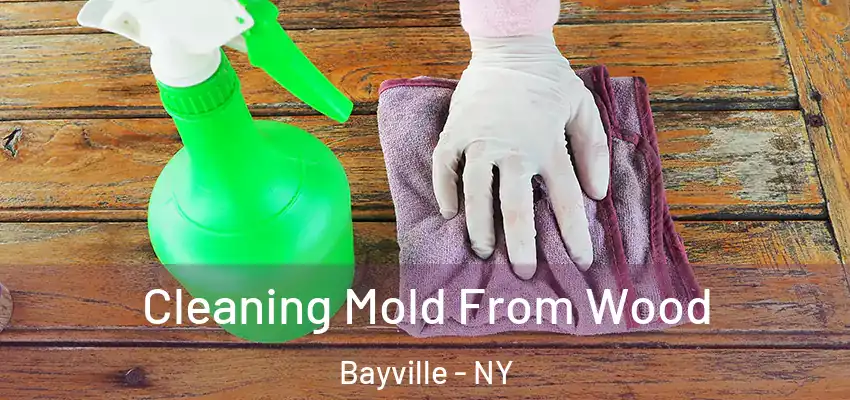  Cleaning Mold From Wood Bayville - NY