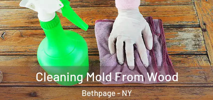 Cleaning Mold From Wood Bethpage - NY
