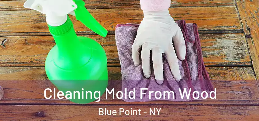  Cleaning Mold From Wood Blue Point - NY