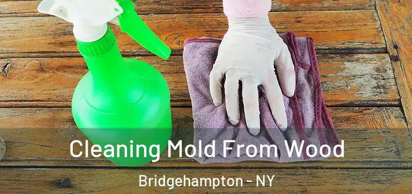  Cleaning Mold From Wood Bridgehampton - NY