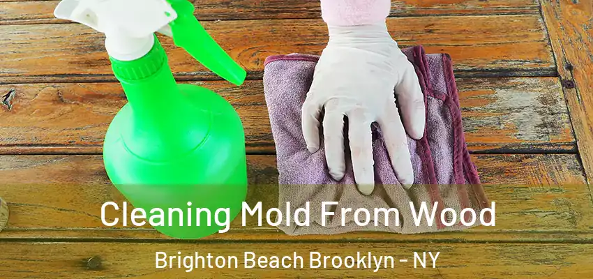  Cleaning Mold From Wood Brighton Beach Brooklyn - NY