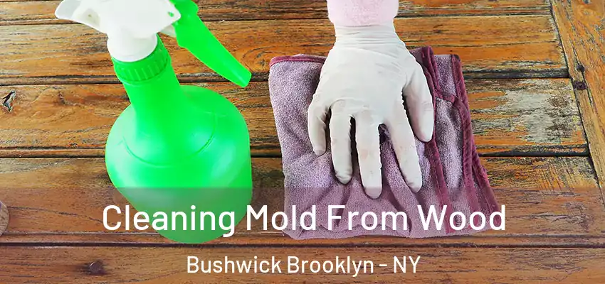 Cleaning Mold From Wood Bushwick Brooklyn - NY