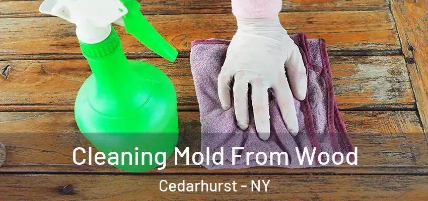  Cleaning Mold From Wood Cedarhurst - NY