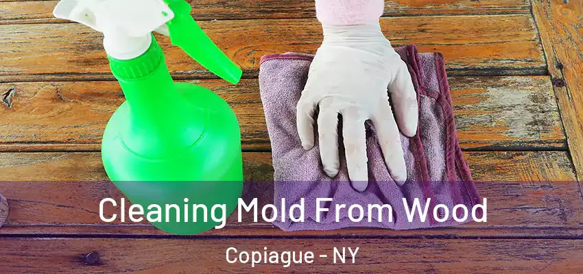  Cleaning Mold From Wood Copiague - NY