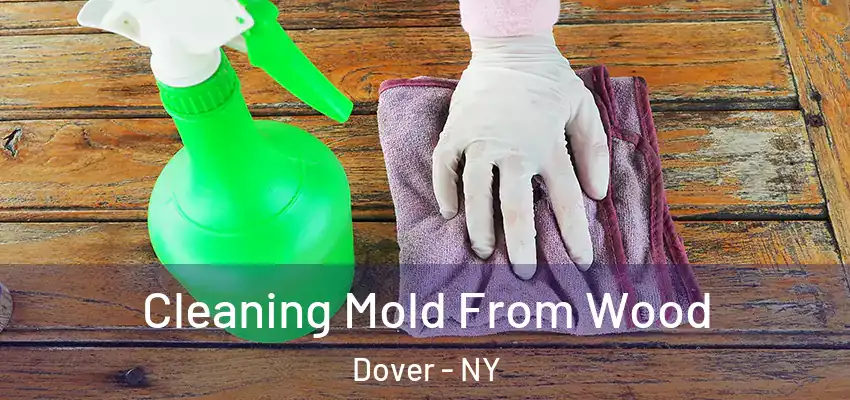  Cleaning Mold From Wood Dover - NY
