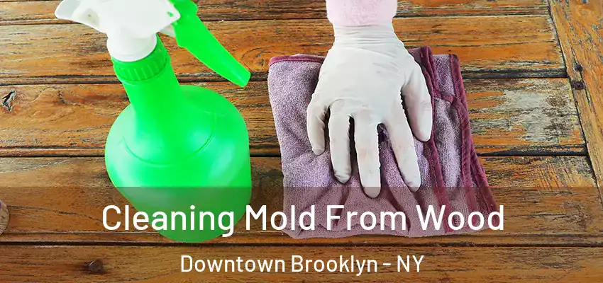  Cleaning Mold From Wood Downtown Brooklyn - NY