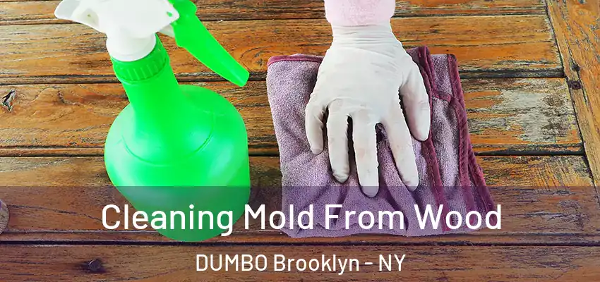  Cleaning Mold From Wood DUMBO Brooklyn - NY