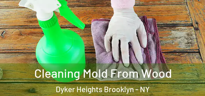 Cleaning Mold From Wood Dyker Heights Brooklyn - NY