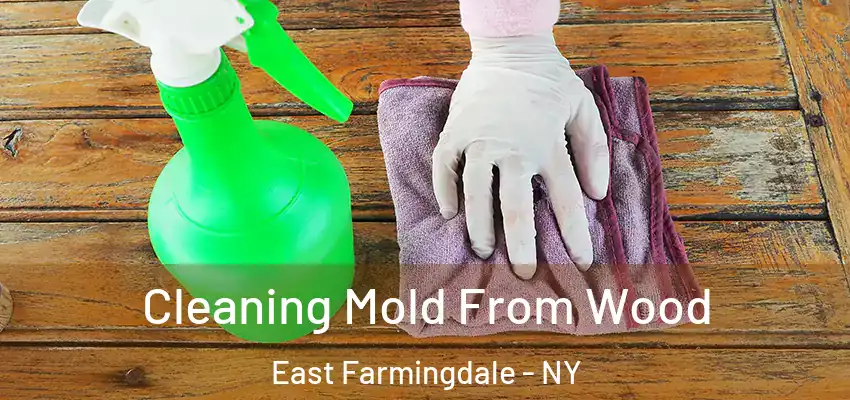 Cleaning Mold From Wood East Farmingdale - NY