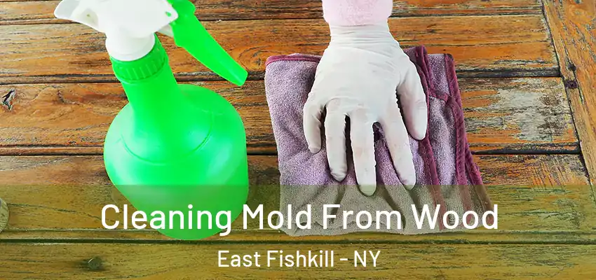  Cleaning Mold From Wood East Fishkill - NY
