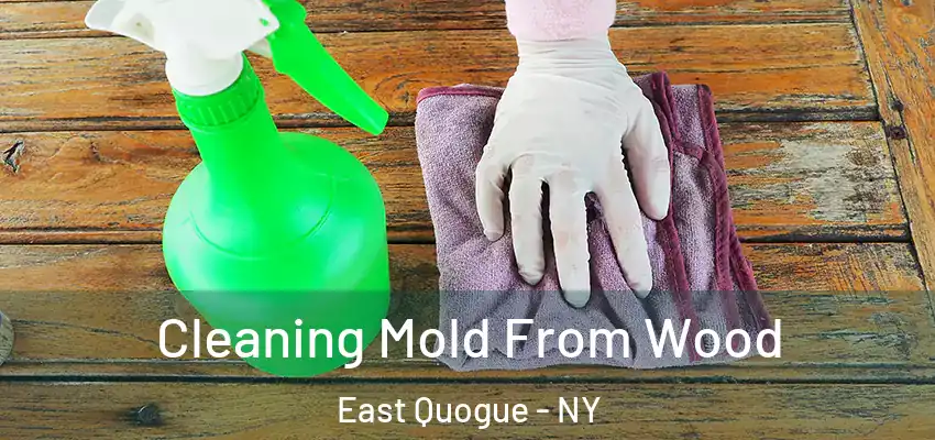 Cleaning Mold From Wood East Quogue - NY
