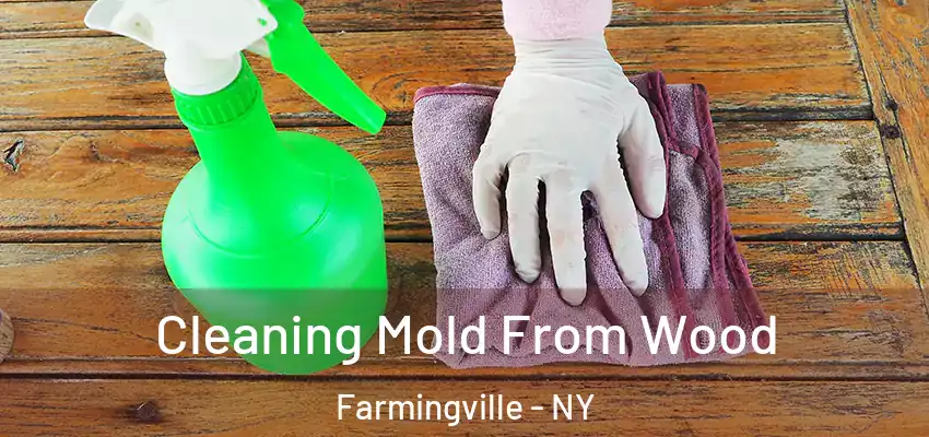Cleaning Mold From Wood Farmingville - NY