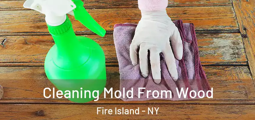  Cleaning Mold From Wood Fire Island - NY