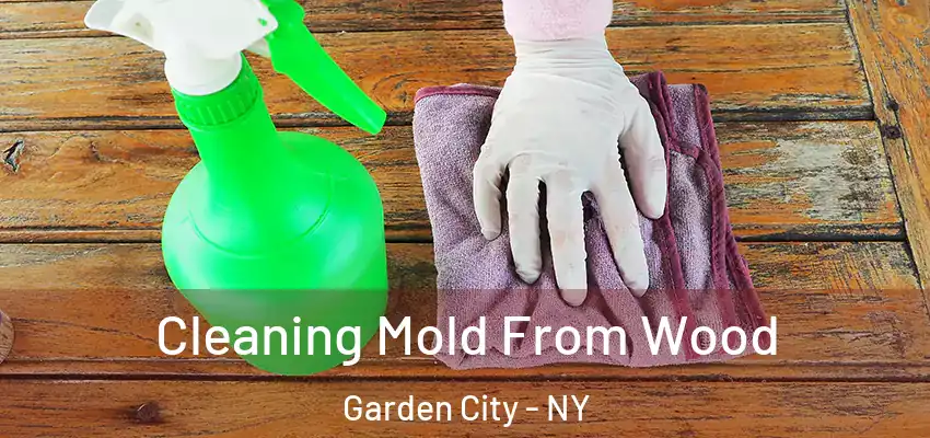  Cleaning Mold From Wood Garden City - NY