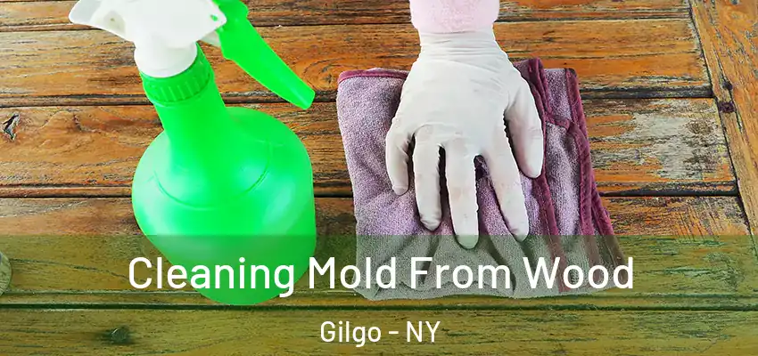  Cleaning Mold From Wood Gilgo - NY