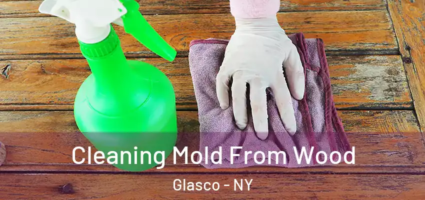  Cleaning Mold From Wood Glasco - NY