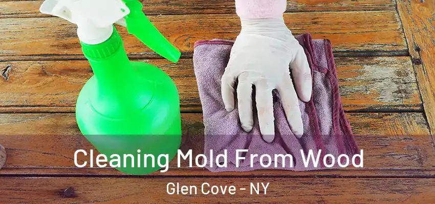 Cleaning Mold From Wood Glen Cove - NY