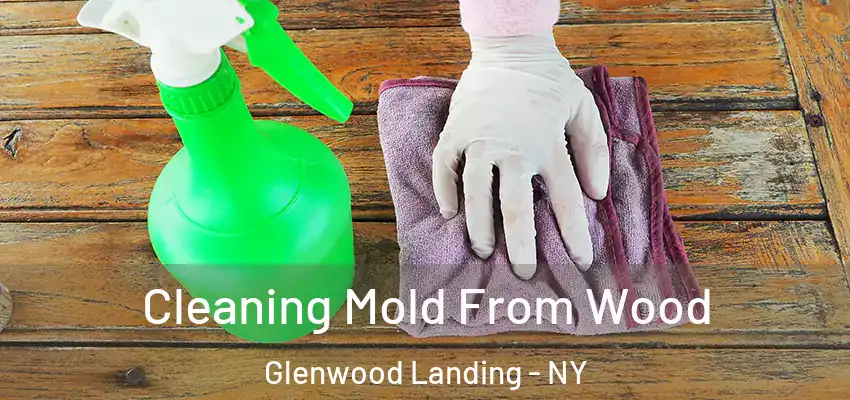  Cleaning Mold From Wood Glenwood Landing - NY