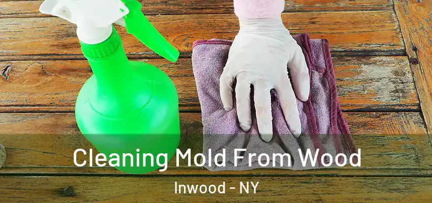  Cleaning Mold From Wood Inwood - NY