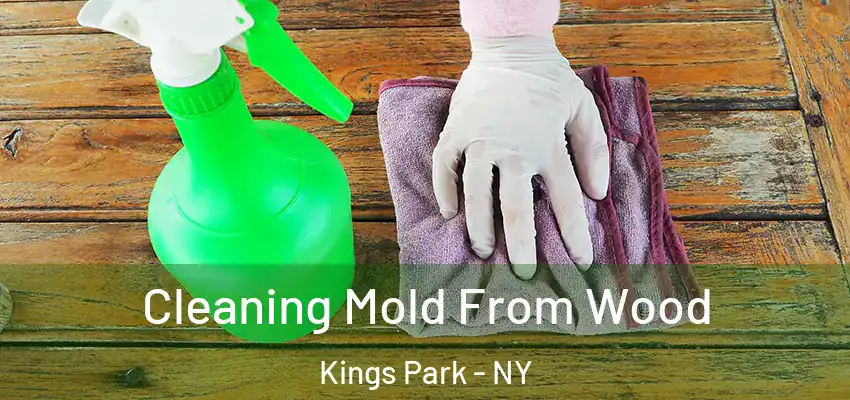  Cleaning Mold From Wood Kings Park - NY