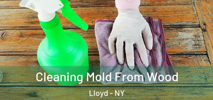  Cleaning Mold From Wood Lloyd - NY