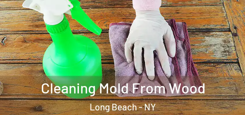  Cleaning Mold From Wood Long Beach - NY