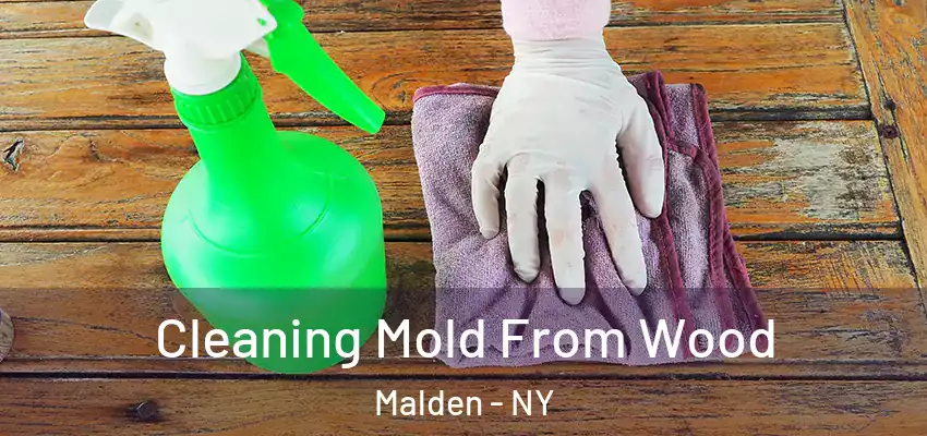  Cleaning Mold From Wood Malden - NY