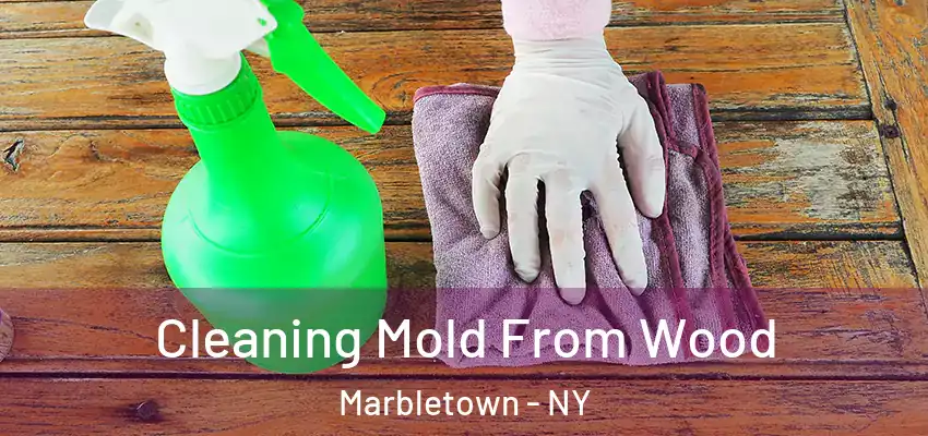  Cleaning Mold From Wood Marbletown - NY