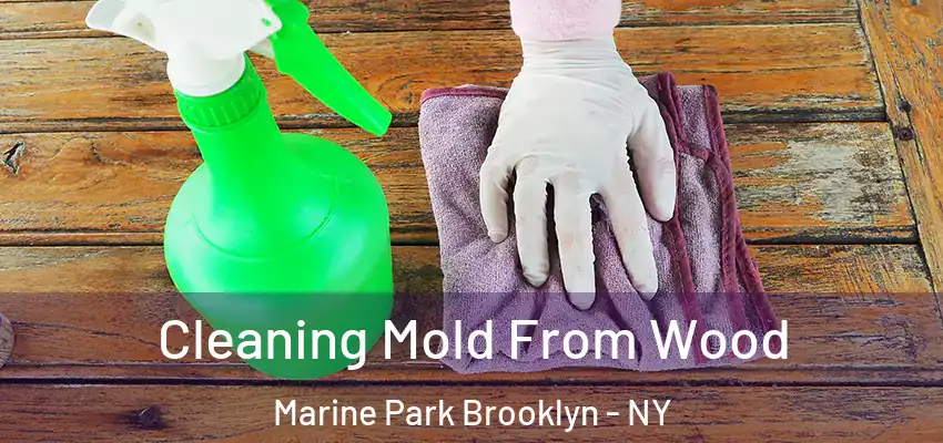  Cleaning Mold From Wood Marine Park Brooklyn - NY