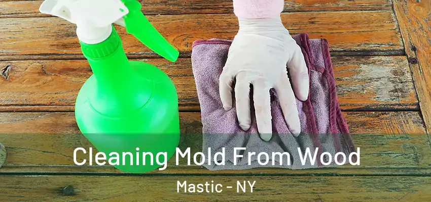  Cleaning Mold From Wood Mastic - NY