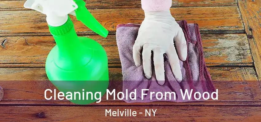  Cleaning Mold From Wood Melville - NY