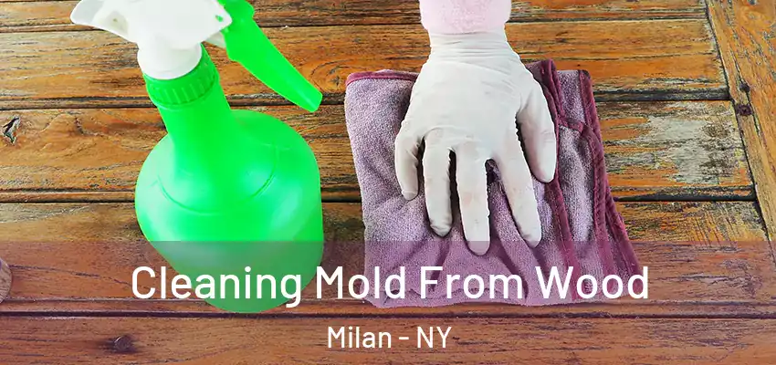  Cleaning Mold From Wood Milan - NY
