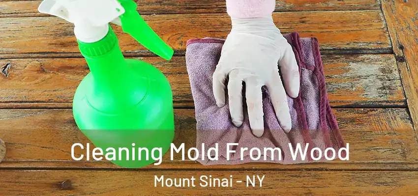  Cleaning Mold From Wood Mount Sinai - NY