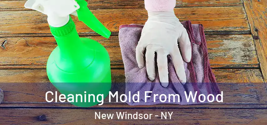  Cleaning Mold From Wood New Windsor - NY