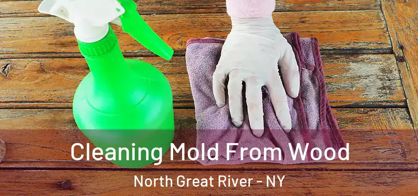  Cleaning Mold From Wood North Great River - NY