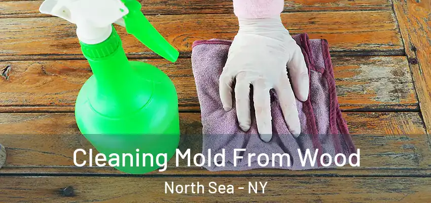  Cleaning Mold From Wood North Sea - NY