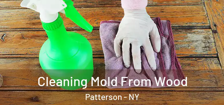  Cleaning Mold From Wood Patterson - NY