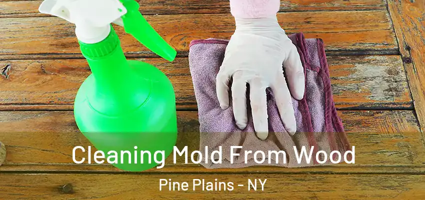  Cleaning Mold From Wood Pine Plains - NY