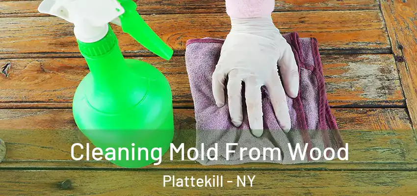  Cleaning Mold From Wood Plattekill - NY
