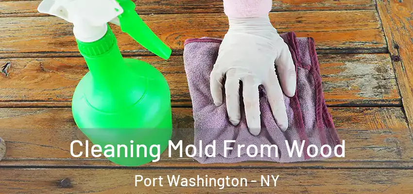  Cleaning Mold From Wood Port Washington - NY