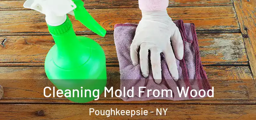 Cleaning Mold From Wood Poughkeepsie - NY