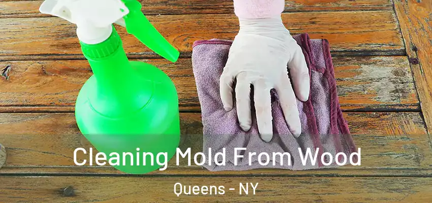  Cleaning Mold From Wood Queens - NY