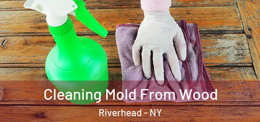  Cleaning Mold From Wood Riverhead - NY
