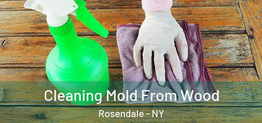  Cleaning Mold From Wood Rosendale - NY